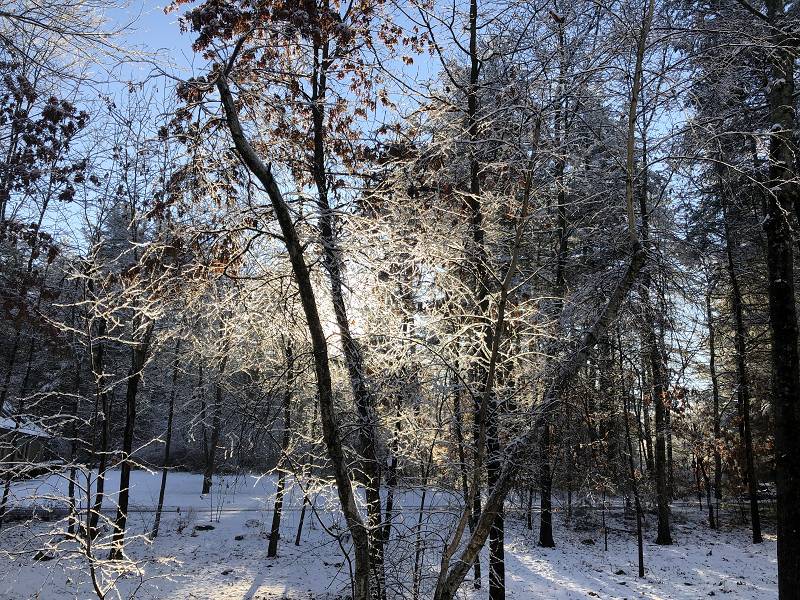 [ Frosty sunrise ]